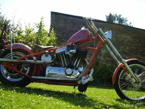 Harley Davidson XLH 883 hardtail - 2