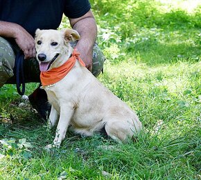 ZDENKA K ADOPCI - 2 ROKY, HODNÁ, MÁ RÁDA POZORNOST,HRAVÁ - 2