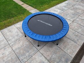 Trampolína Insportline Flopper 122 cm - 2