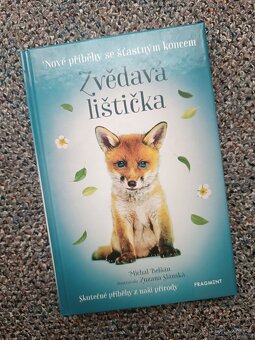 Zvědavá lištička, Poraněný sokol, Michal Belšán - 2