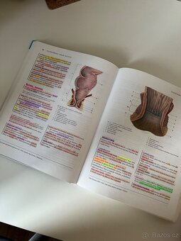 Anatomie 2, Třeti, upravené a doplněné vydání, Radomír Čihák - 2