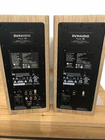 Dynaudio Focus 10 - 2