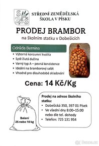 Brambory - 2