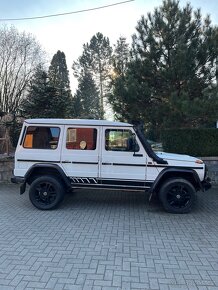 Mercedes Benz G 300 cdi Professional - 2