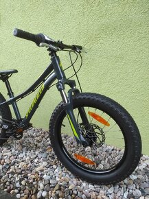 Dětské kolo - Fatbike SPECIALIZED 20" disk - 2