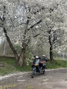 PRONÁJEM SKŮTRU VESPY / VESPA SCOOTER RENT / PRAHA / PRAGUE - 2