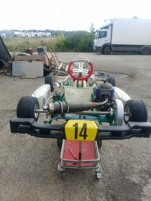 Závodní motokára Tony Kart - 2