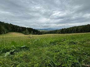 Prodej Lesa 24034 m2 - Zubčice, okres Český Krumlov - 2