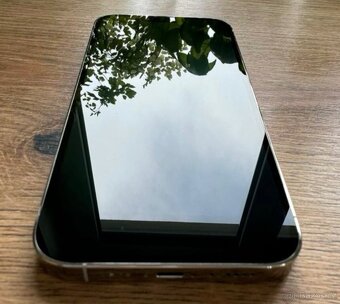 iPhone 13 pro max 256GB - 2