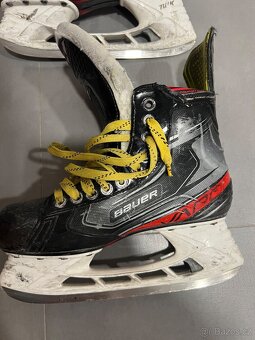 brusle Bauer Vapor X 2,9 velikost 6,5 - 2