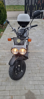 Honda Zoomer NPS50 - 2