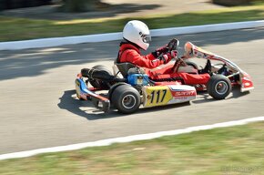 motokára Birel Easykart 100 ccm (24 koní 15000 ot./min) - 2