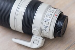 Canon EF 100-400mm 4.5-5.6 L II USM - 2