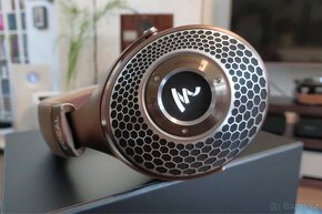 Focal Clear MG - 2