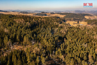 Prodej lesa, 4038 m², Volyně - 2