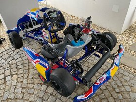 MS KART MINI Blue Kite motor Rotax MINI MAX evo - 2