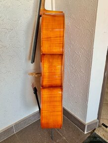 Violoncello 4/4 - 2