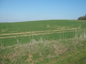 Pozemek Drachkov okres Benešov. - 2