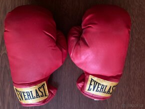 Dětské EVERLAST boxerské rukavice, vel. S - nepoužité - 2