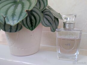 DIOR Forever and ever Dior EDT 100 ml + dárek Dior J'adore - 2