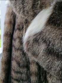 Dámský kabát z pravé kožešiny Rys - Lynx rufus BobCat - 2