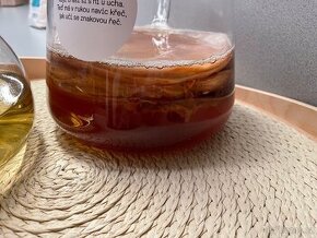 Kombucha SCOBY - 2