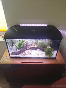 Prodam akvarium - 2