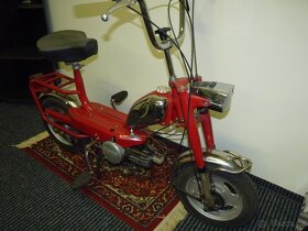 minimoped - 2