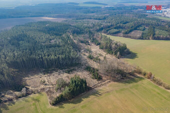 Prodej lesa, 43766 m², Chlumčany u Přeštic - 2