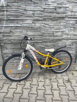 Dětské kolo Specialized Hotrock 24 - 2