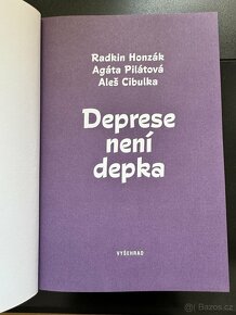 Deprese není depka (R. Honzák, Agáta Pilátová, Aleš Cibulka) - 2