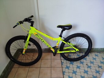 Maxbike 24" - 2