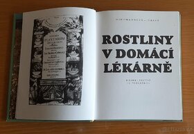 Kniha - Rostliny v domácí lékárně 
 - 2