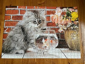 Puzzle kočička - 500 dílků - 2