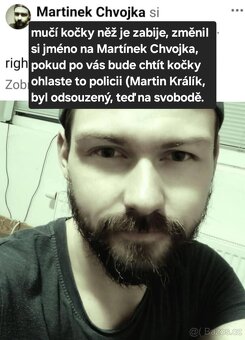 Daruji kotě v Ostravě a okolí - 2