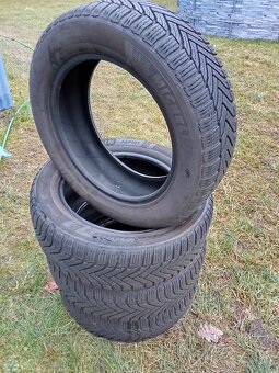 Zimní pneumatiky Michelin Alpin 205/55 R16 91H - 2