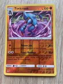 Pokemon TOXICROAK - 2