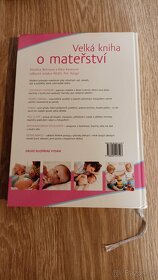 Velká kniha o mateřství - 2