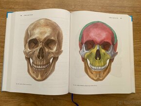 Anatomie 1 - 2