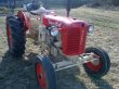 ZETOR 25A R.V.1956 - 2