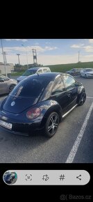 New beetle - 2