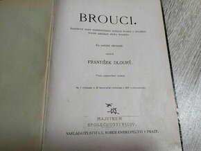 BROUCI--František Dlouhý--cca r.1900--Soustavný popis nejdůl - 2