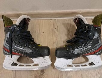 Brusle Bauer Vapor X 2.9 (EUR 36) - 2