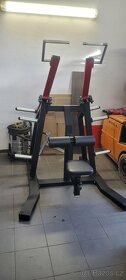 Hammer lat pulldown - 2