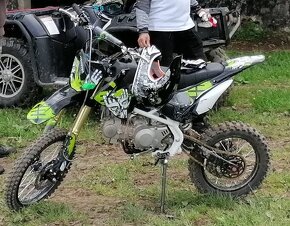 Pitbike 140ccm Ultimate Scorpion - 2