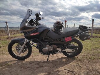 Suzuki xf 650 Freewind - 2