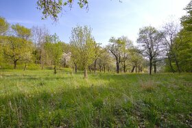 Stavební pozemek u Majáku - Zlín / Březnice - 2