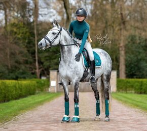 Equestrian Stockholm Amazonite DL - 2