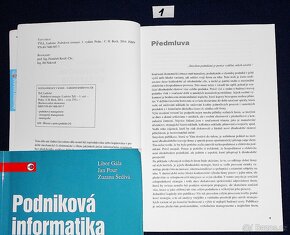 Podniková strategie a Podniková informatika - 2