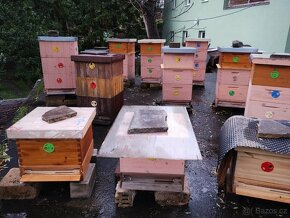 Prodám včelí oddělky, včelí matku a včelstava - 2